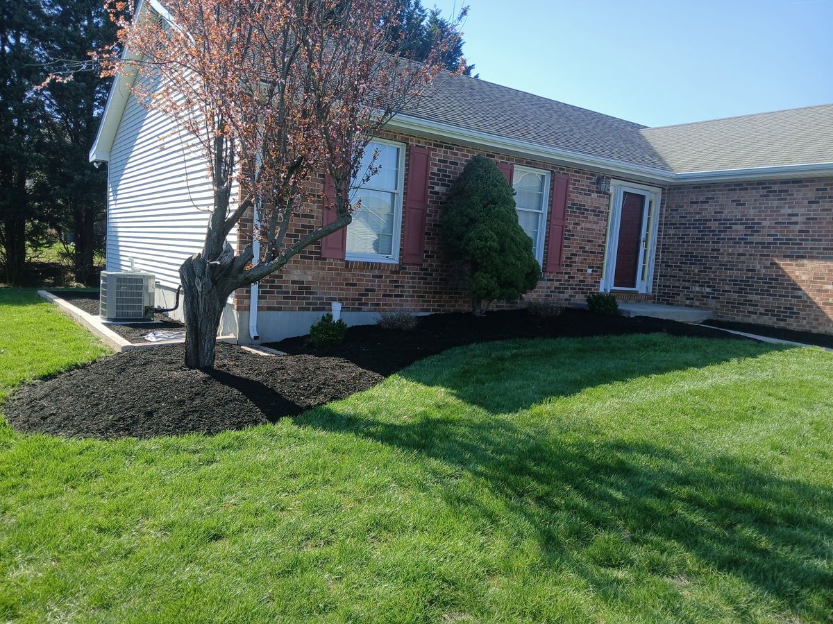 Tree Services for Ace Property Solutions INC. in New Castle County, Delaware