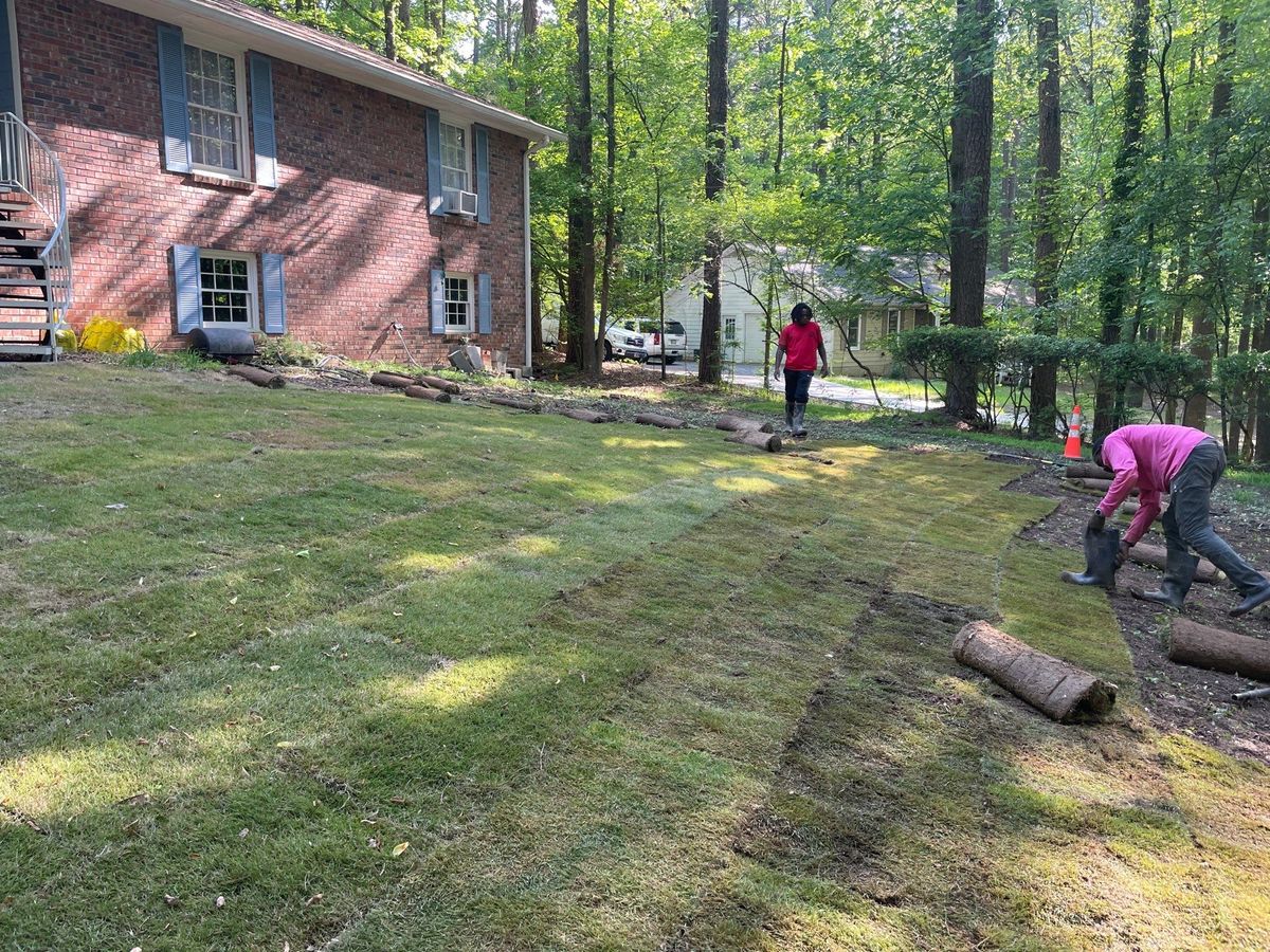 🌱 NB Sod Installation for New Beginning Landscape & Remodel LLC in Atlanta, GA