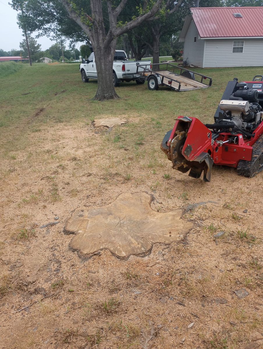 Stump Removal for Marks Tree Service in Fort Worth, TX