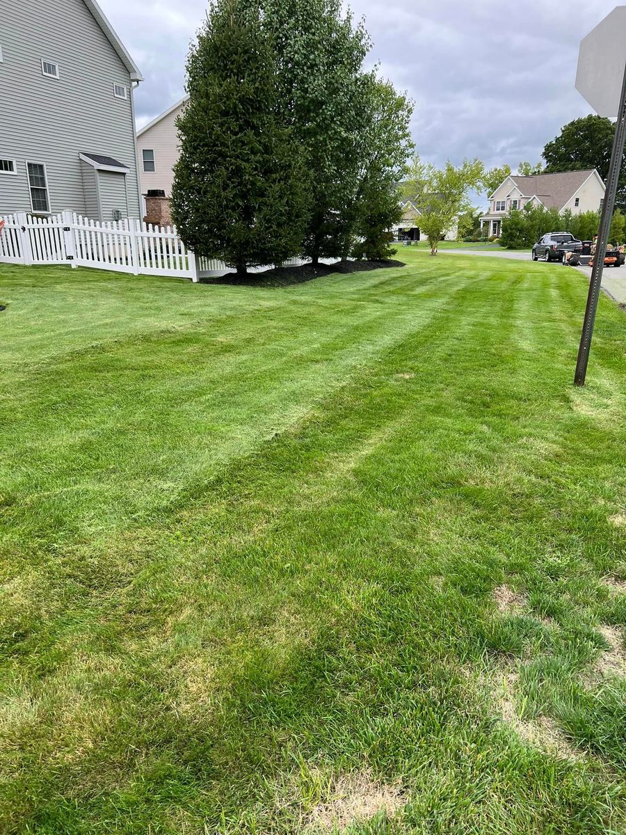 Spring and Fall Clean Ups for Bumblebee Lawn Care LLC in Albany, New York