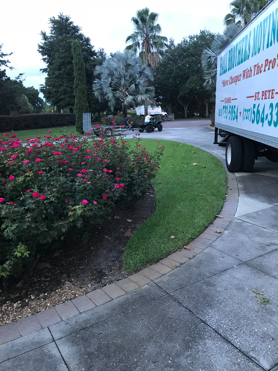 Local Moving for Hall Brothers Moving in Tampa, FL