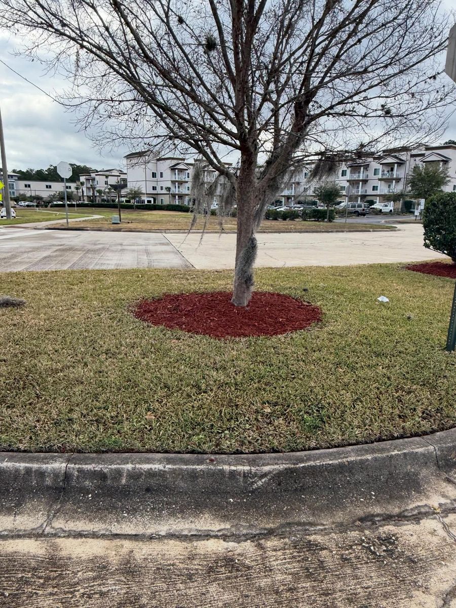 Mulch Installation for Whole 9 Yards Services LLC in Green Cove Springs, FL