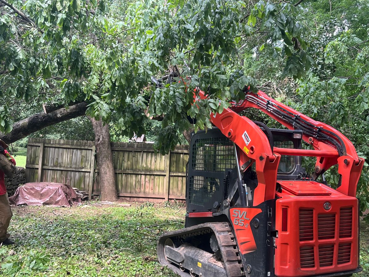 Tree Maintenance for Real Deal Lawn Care in Goodlettsville, TN