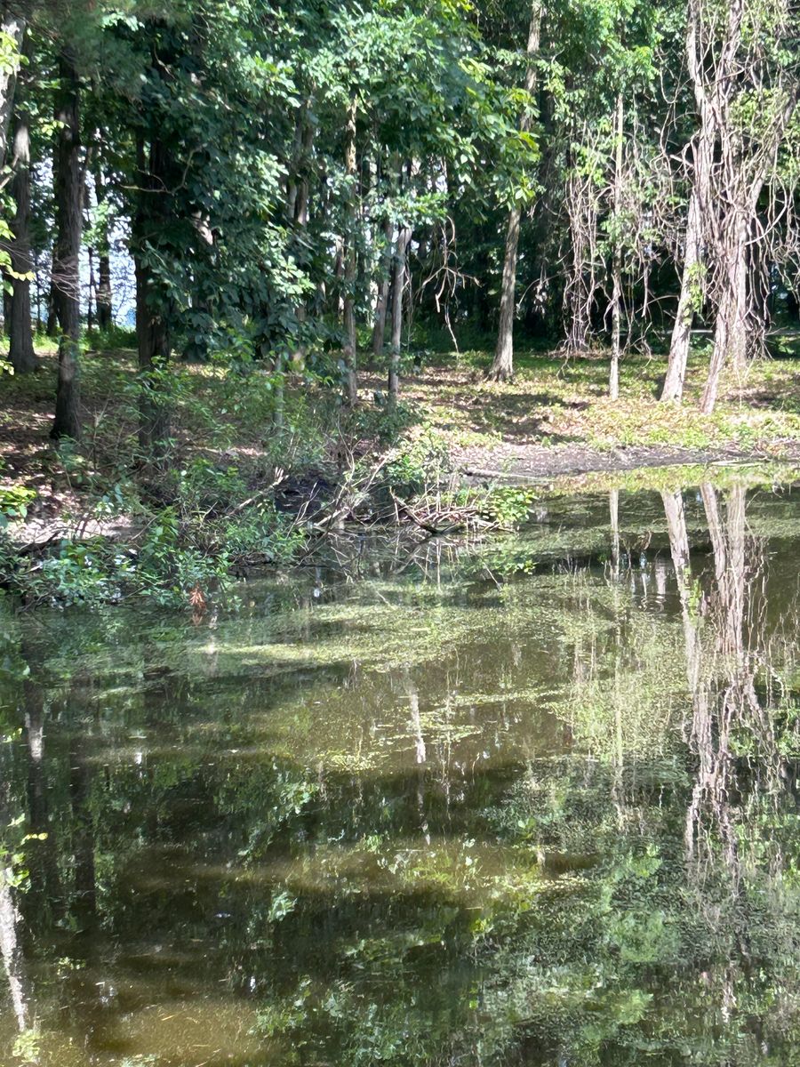 Land Clearing for Solid Rock Concrete & Landwork in Galion, OH