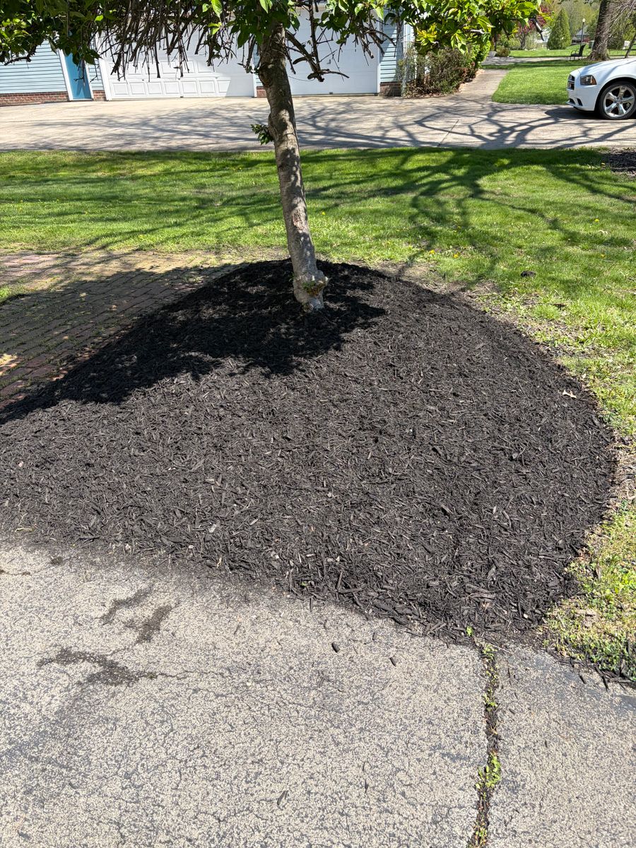 Mulch Installation for Youngstown Lawn & Patio Design in Canfield, OH