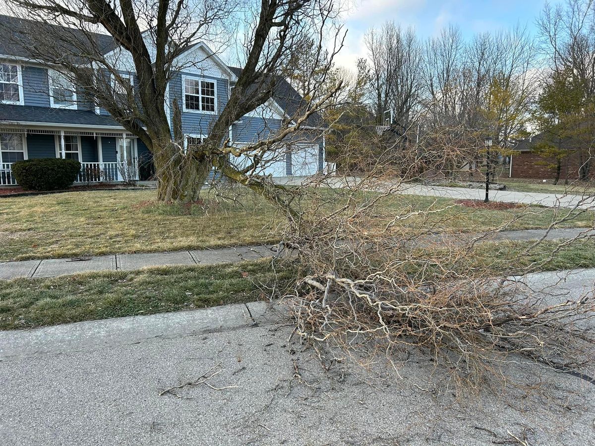 Storm Cleanup for Bearforce Lawn Care LLC in Greenfield, IN