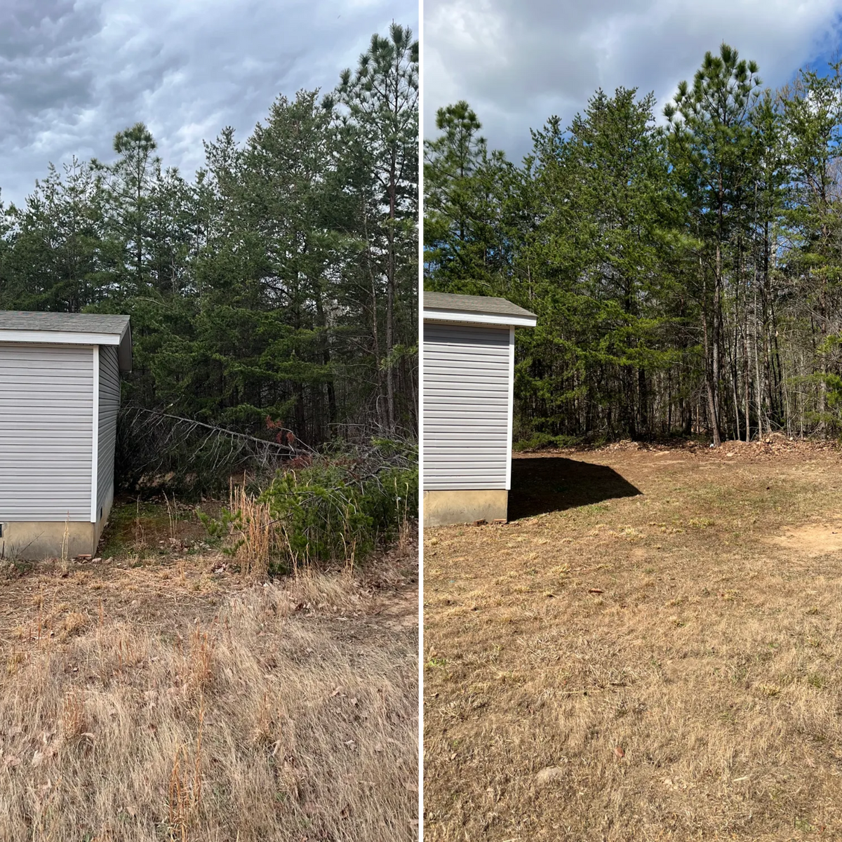 Brush cutting/clearing for Southside Land Management in Gretna, VA