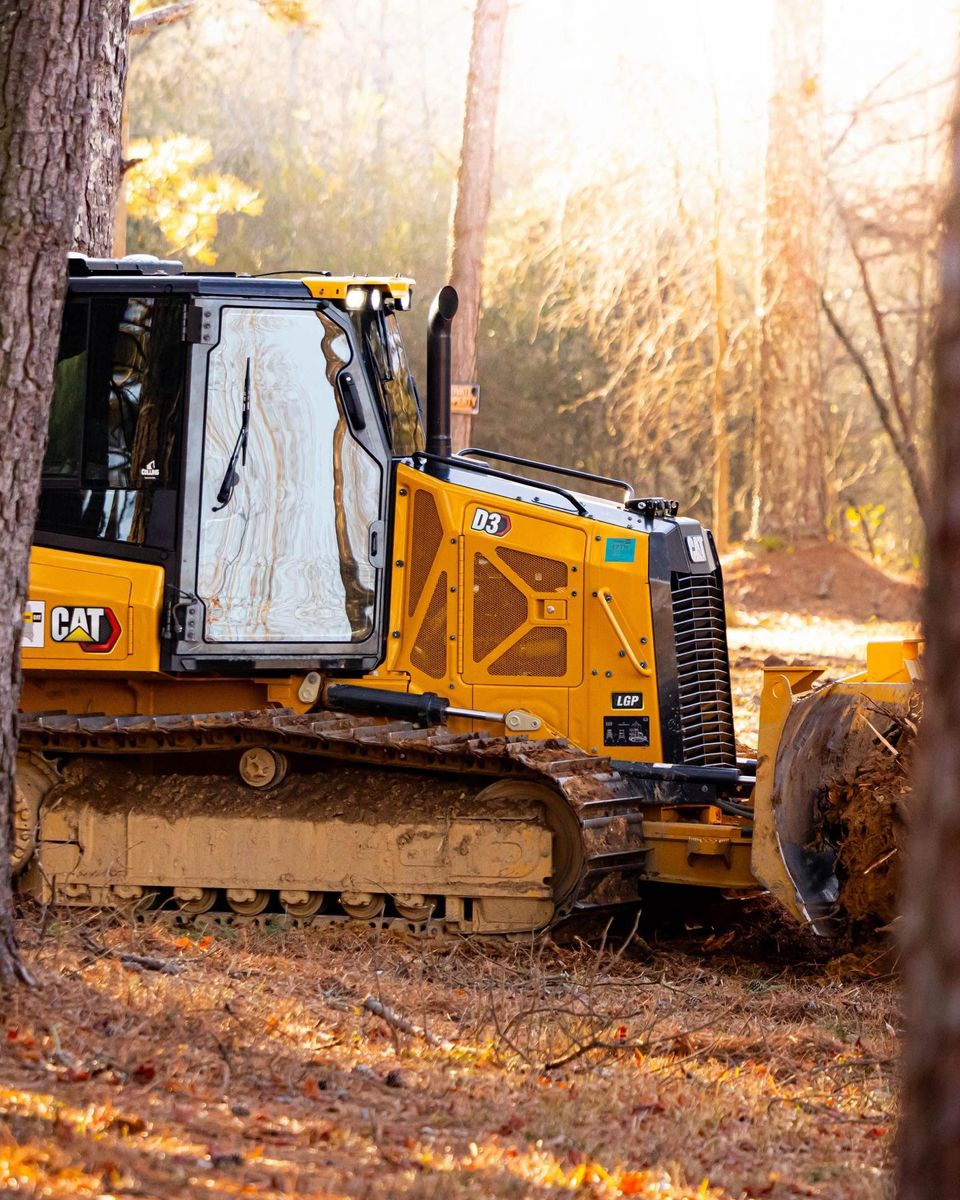 Land Clearing for Collins Constructors in Fyffe, AL