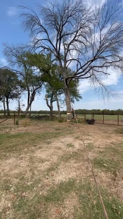Tree Removal for Marks Tree Service in Fort Worth, TX