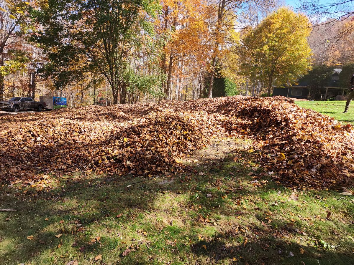 Fall Cleanup for Platas Landscaping & Tree Service in Clyde, NC