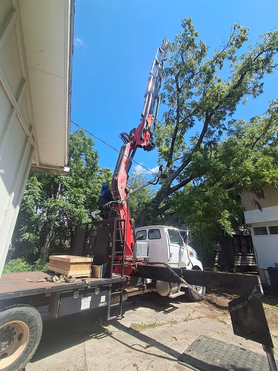 Tree Removal for Mitchell Tree Company in Lathrop, MO