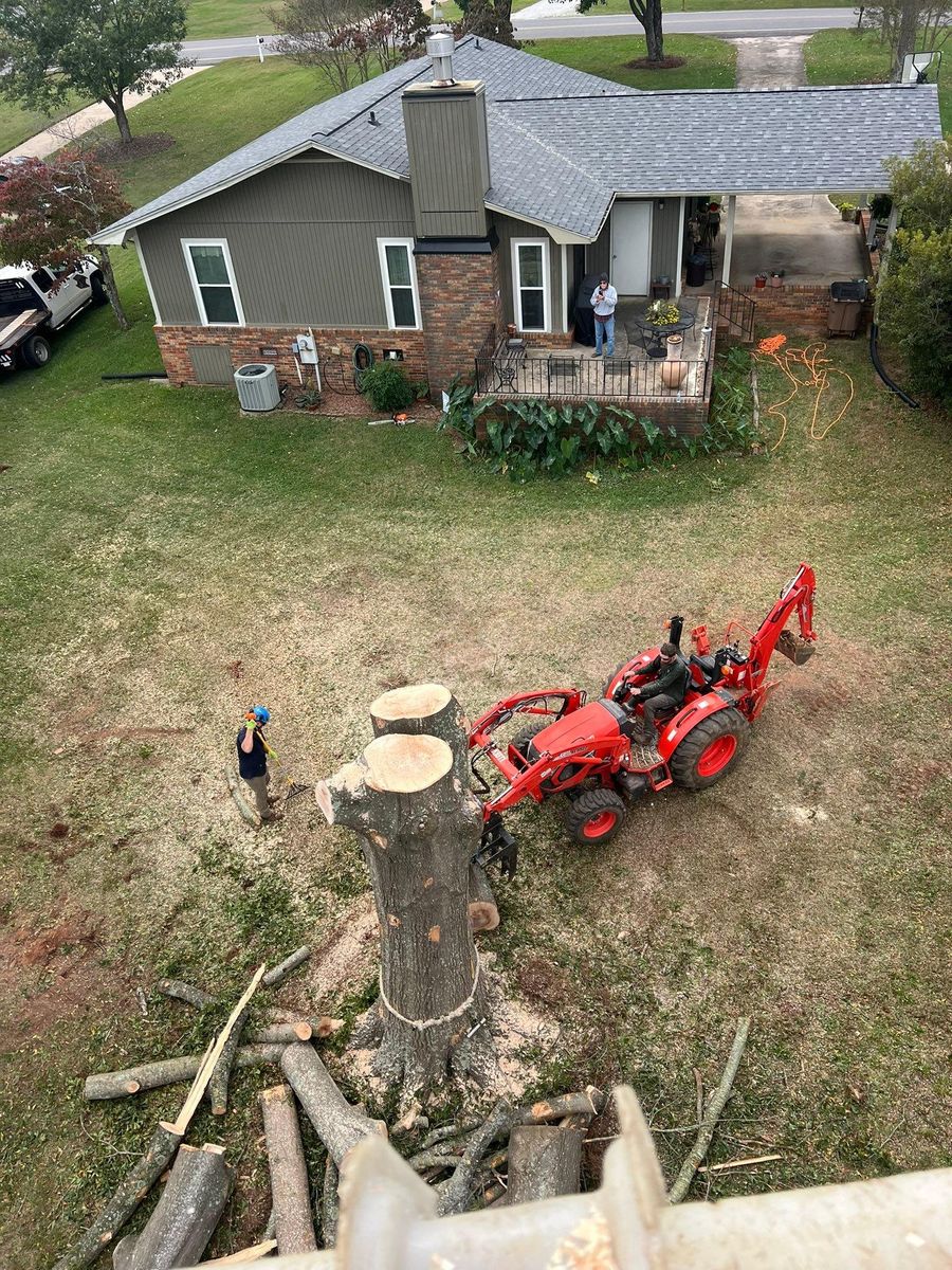 Tree Removal for Brooks Tree Service, LLC in Casar, NC