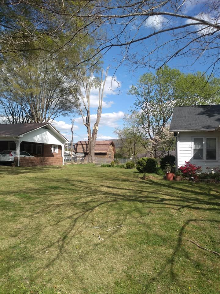 Tree Experts for Scott's Tree Service in Athens, TN