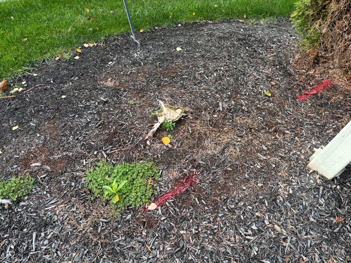 Stump Removal for Conrad's Stump Removal in Columbus, IN
