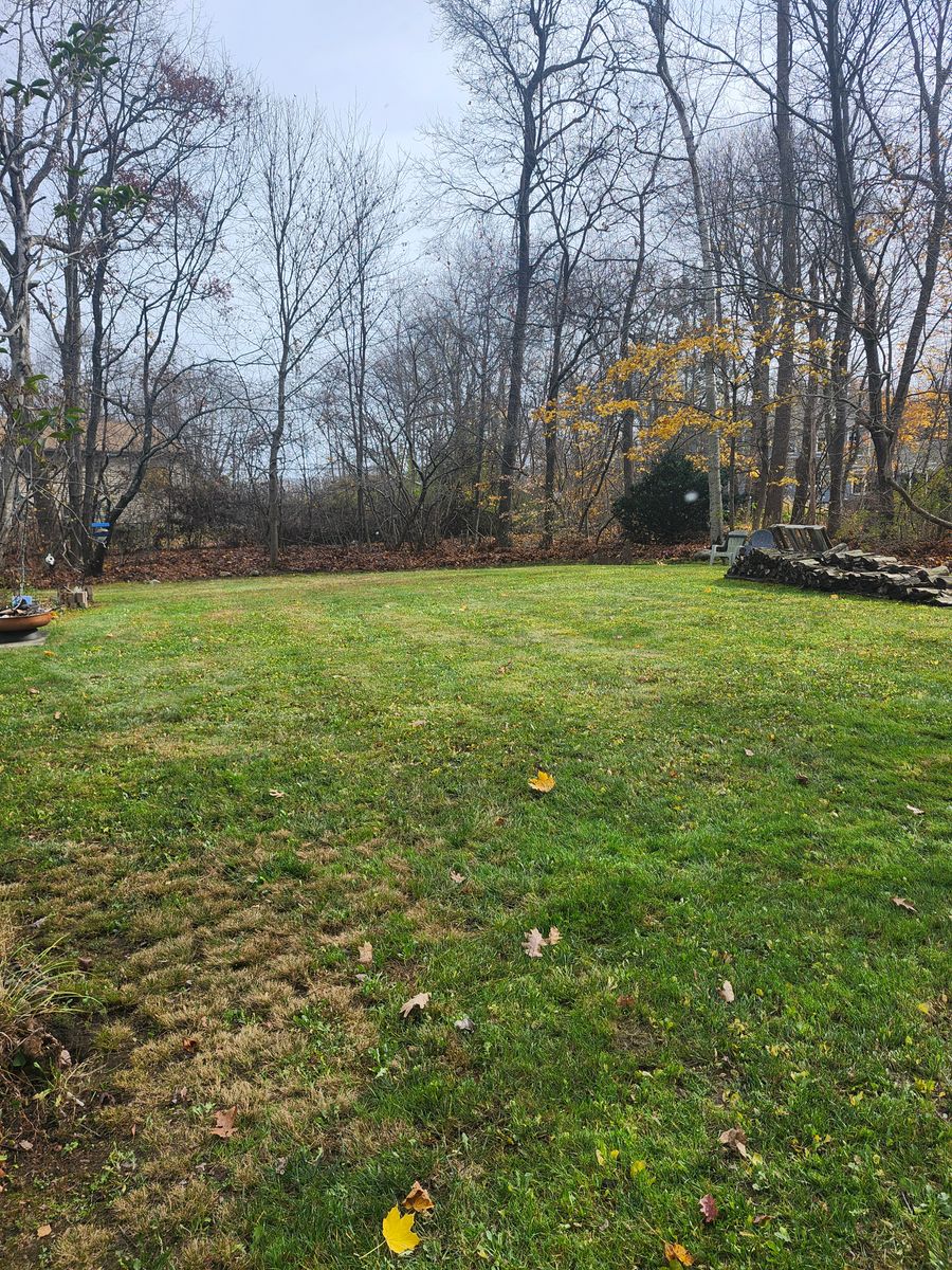 Landscape Installation for Landscape Innovations LLC in Torrington, CT