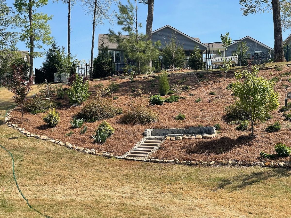 Tree Maintenance for Down To Earth Tree and Landscaping in Greenville, SC