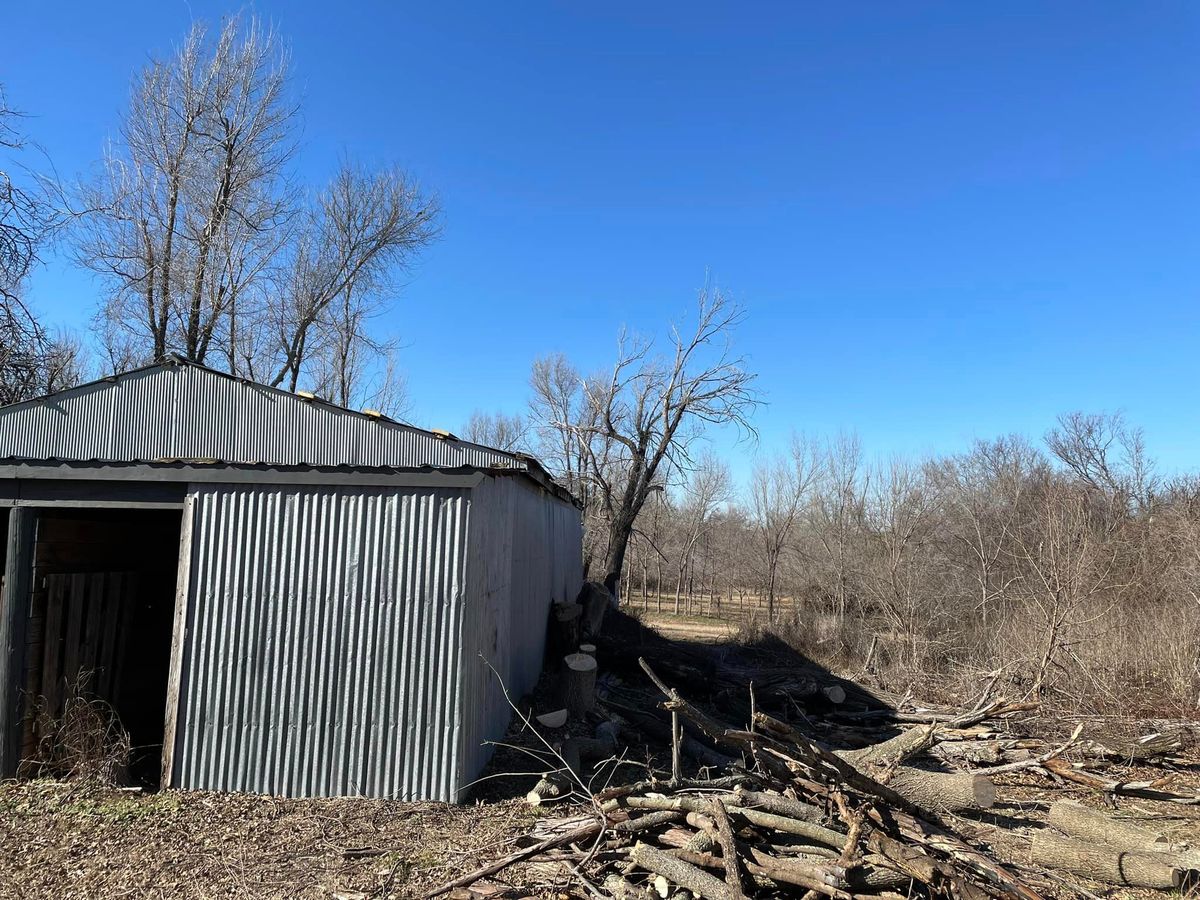 Tree Trimming & Removal for Stallion Design And Construction in Norman, OK