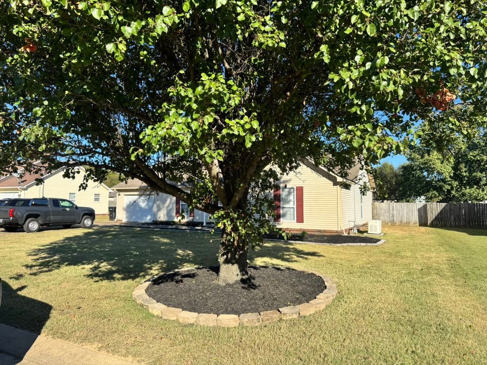 Landscape Design for Apex Lawn & Landscaping INC in Dyersburg, TN