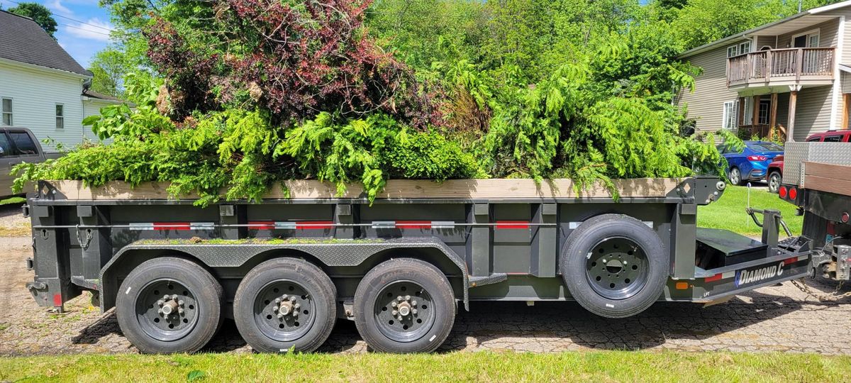 Downed Tree/Brush Removal for Admiring Landscapes in Lancaster, OH