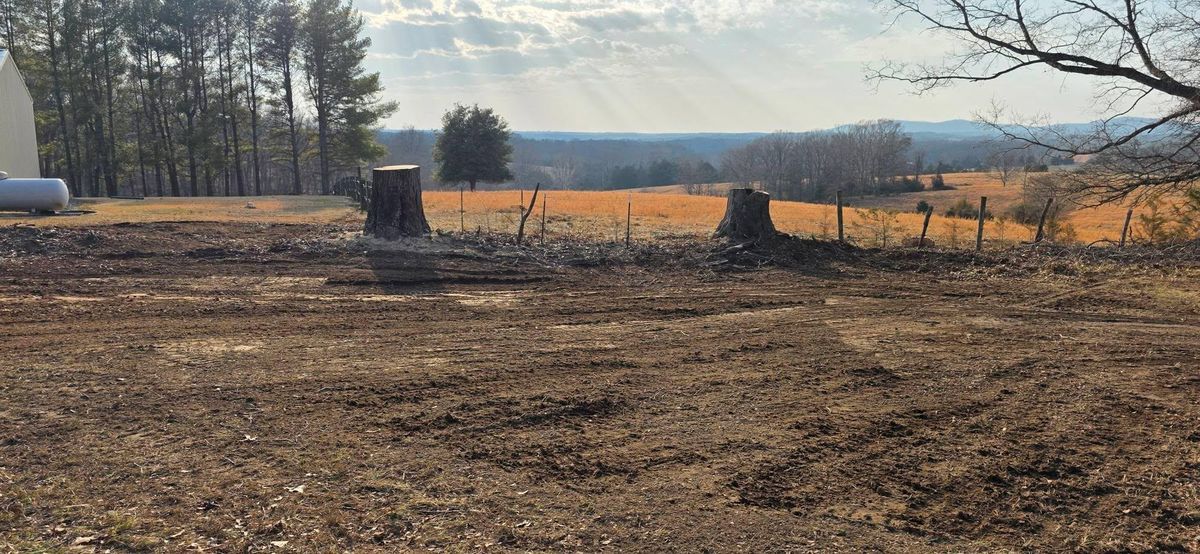 Stump Removal for Hamlett Tree Service LLC in Clover, VA