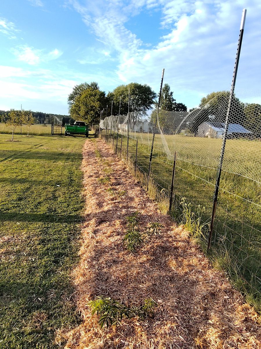 Mulch Installation for Superior Landscaping Design in Ava, MO