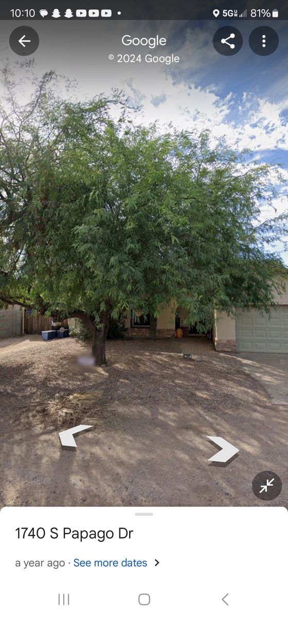 Tree Trimming for T's Tree Service and Firewood in Apache Junction, AZ