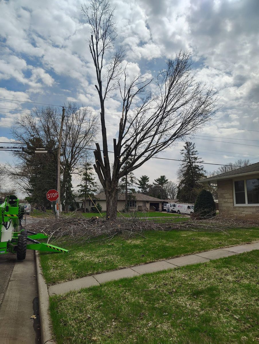 Tree Trimming for Big River lawn Care services and snow LLC in Wausau, WI