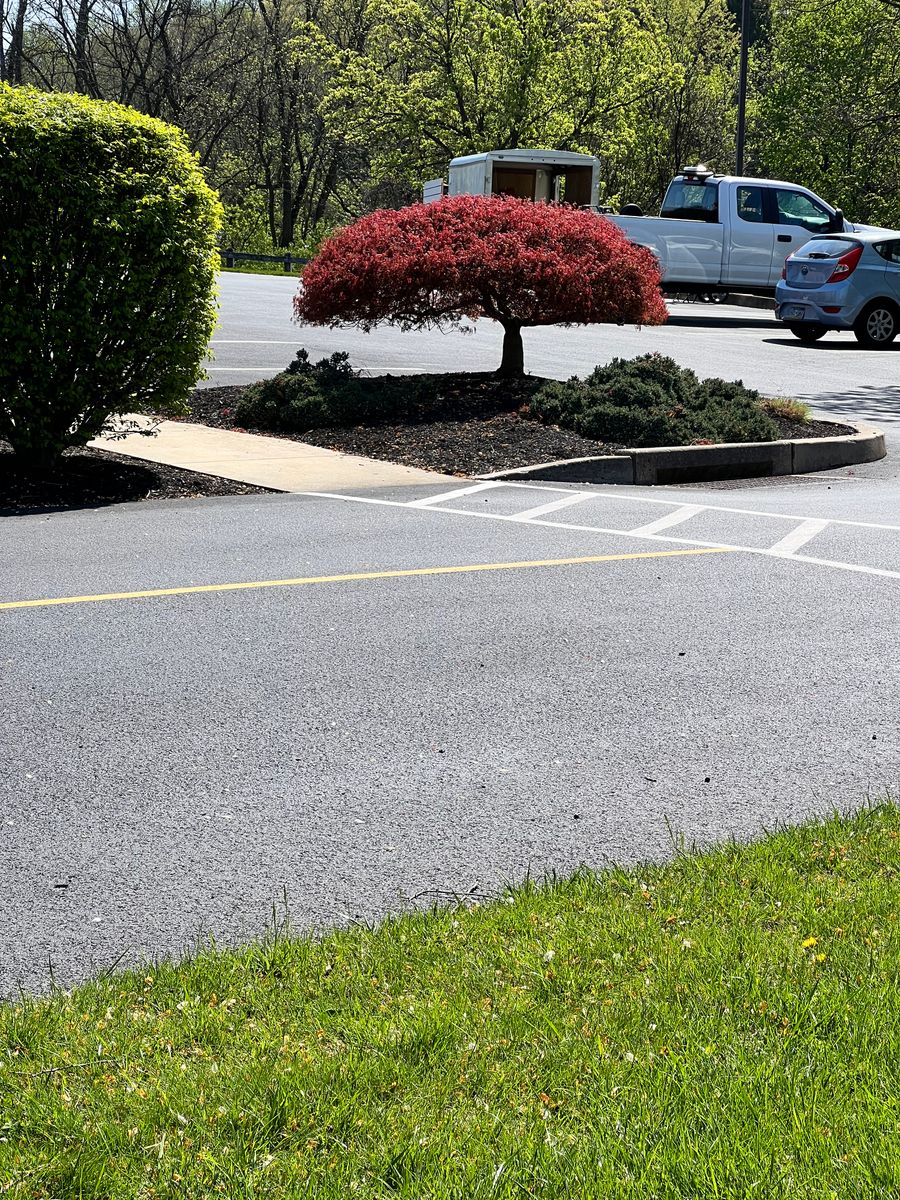 Shrub Trimming for Dunn-Rite Landscaping in New Oxford, PA