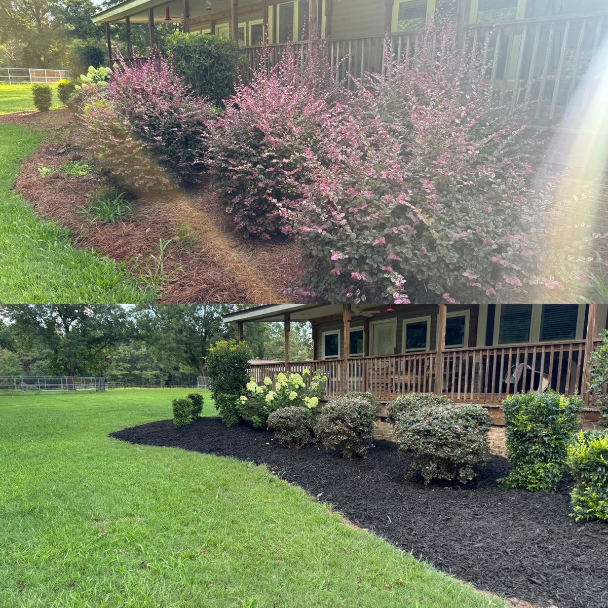 Turf, Ornamental, and Irrigation for Camalett Services in Perry, GA