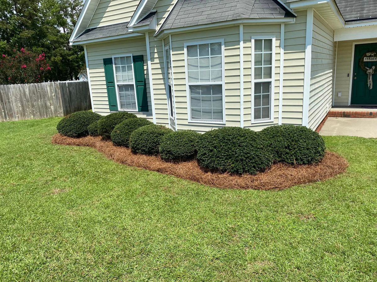 Mulch Installation for Marco's Lawn Care LLC in Greenville, NC