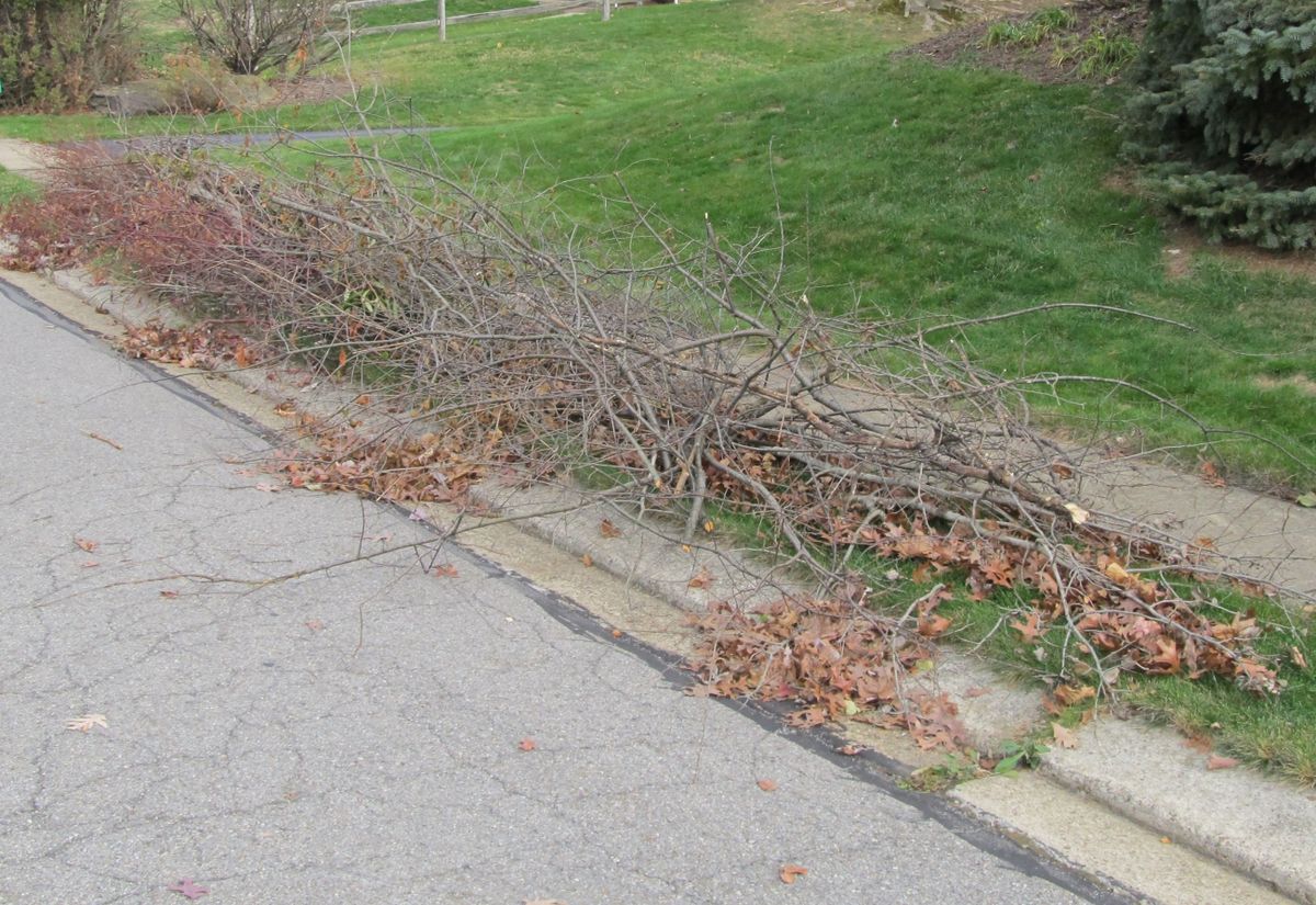 Brush Removal for Thrashers Utilities Services in Sultan, WA