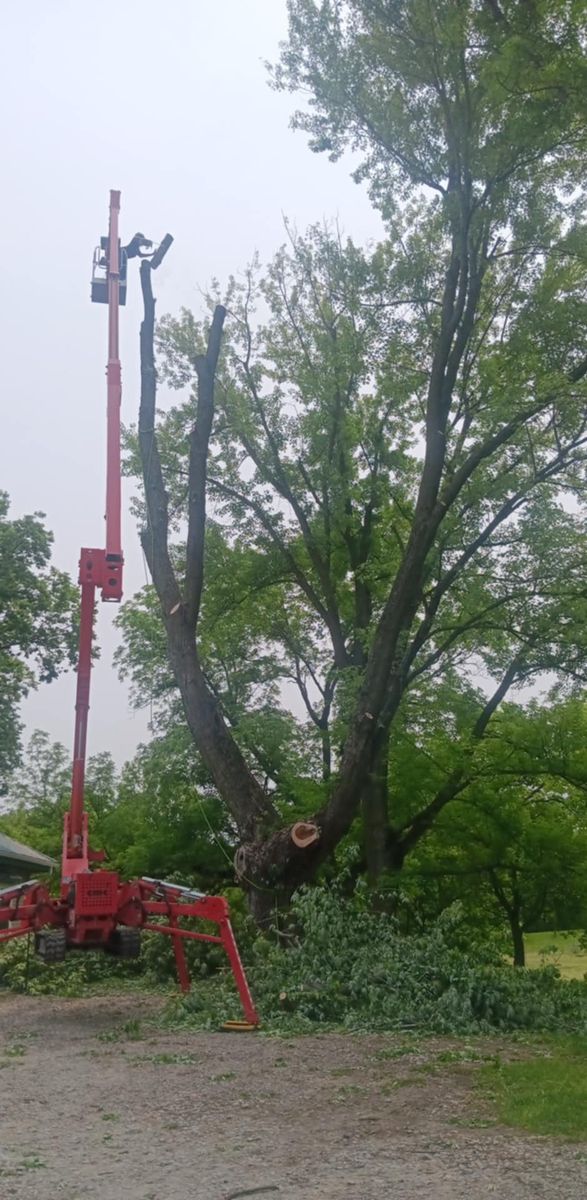 Tree Trimming for Lawn Ranger Yard And Tree Service LLC in Ottumwa, IA