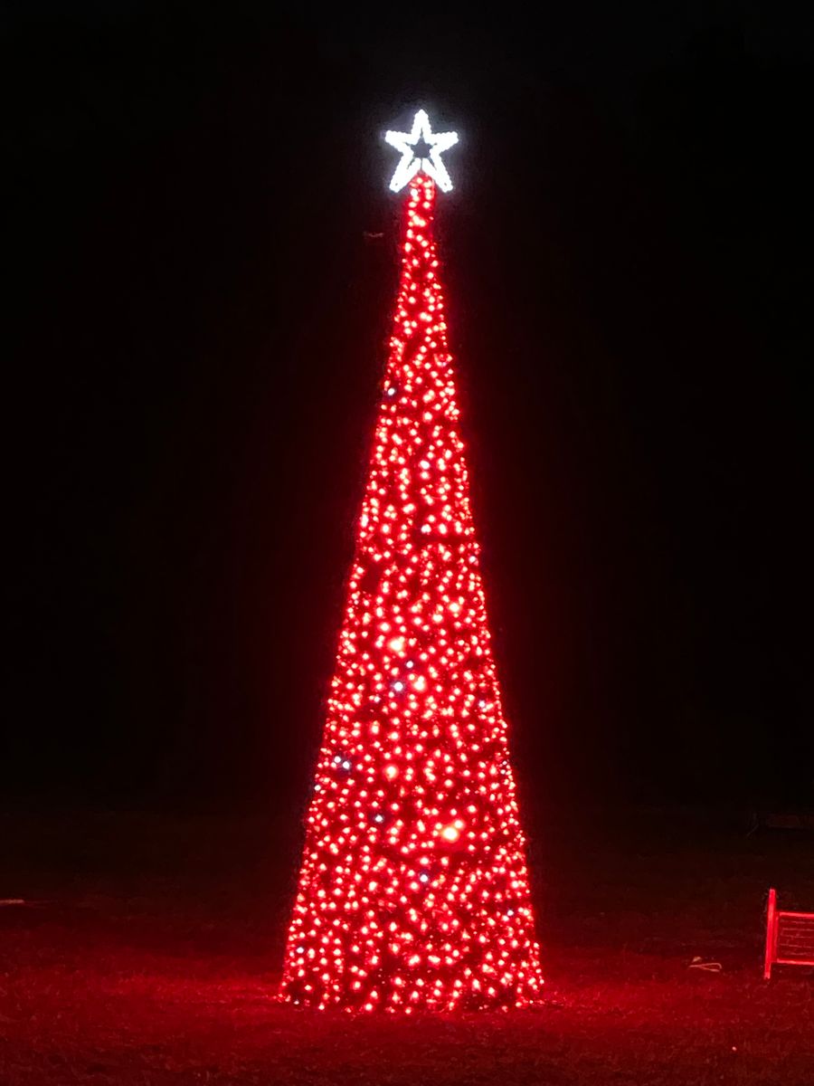 Holiday Lighting for Elite Lighting Solution in Midlothian, VA