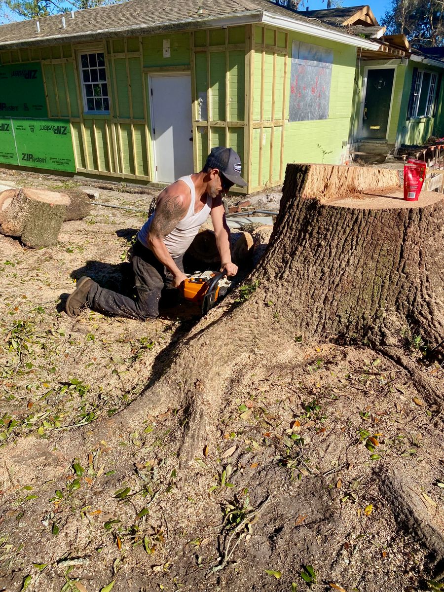 Stump Removal for Top Notch Tree Experts in Orange Park, FL