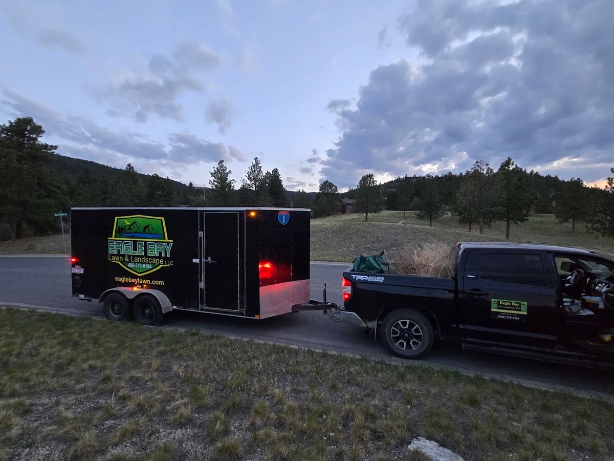 Small Tree Trimming (12 ft) for Eagle Bay Lawn & Landscape LLC in Helena, MT
