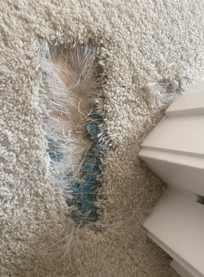Carpet Installation and Repair for Diaz Flooring & Remodeling in Dallas, TX