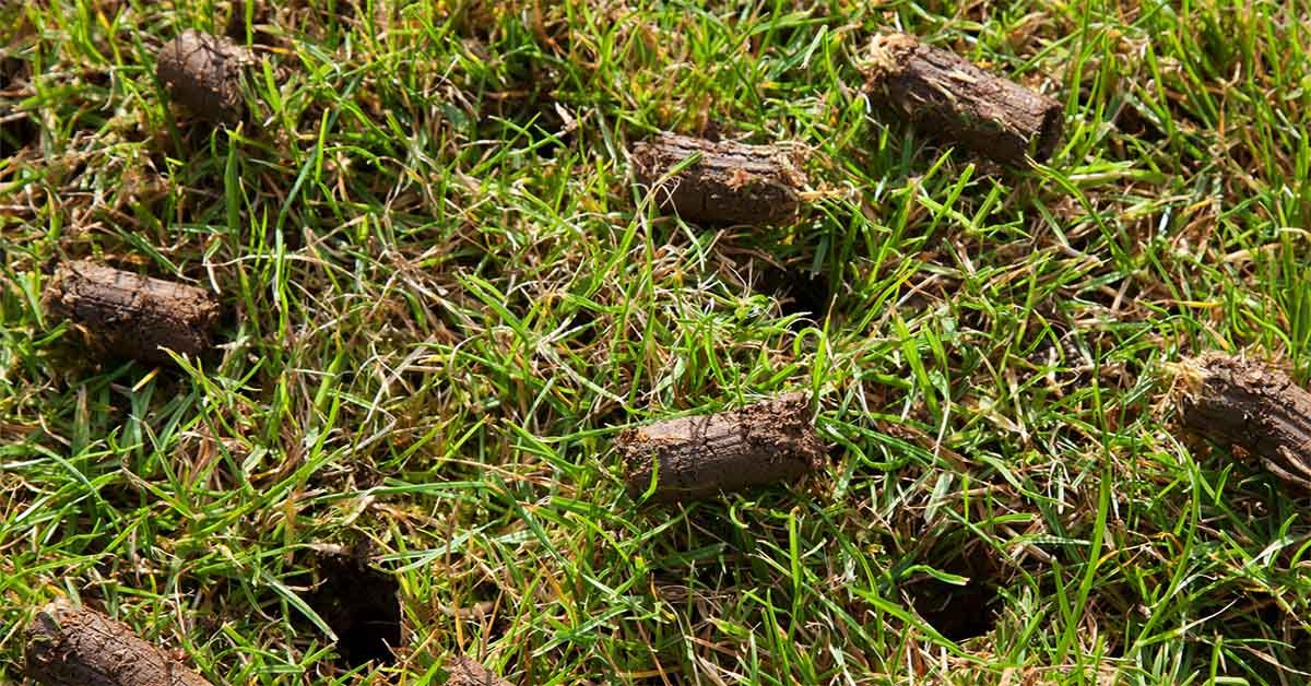 Aeration for Gavin's Lawn Maintenance in Derby, KS