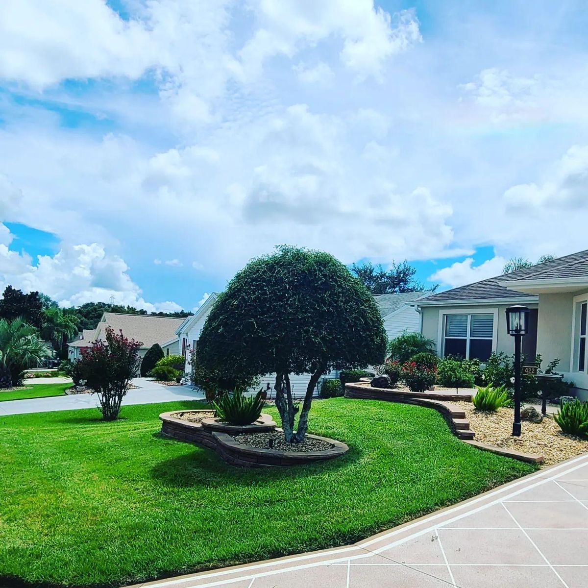 Quarterly Shrub, Bush and Ornamental Tree Trimming for TopNotch Landscaping Services  in Lady Lake, FL