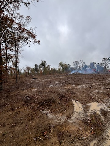Forestry Mulching for TD Dirtworks in Tracy City, TN