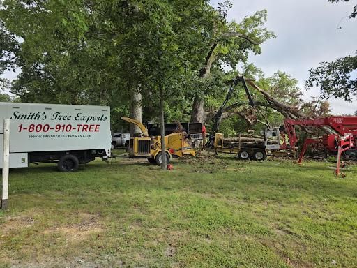 Tree Trimming for Smith Tree Experts in Palmyra, VA