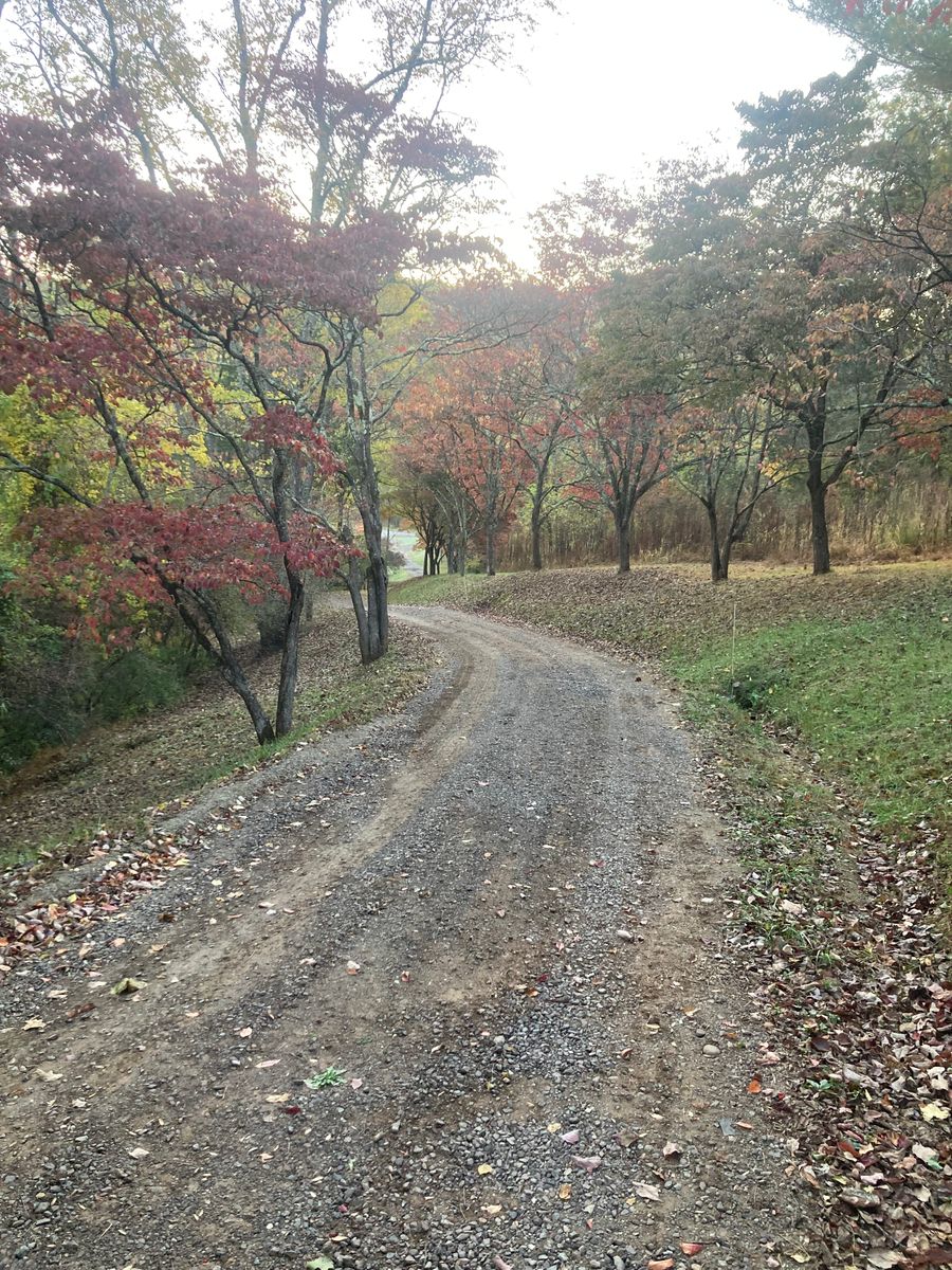 Driveway Regrading for 9999 Building and Renovation LLC in Warrenton, VA