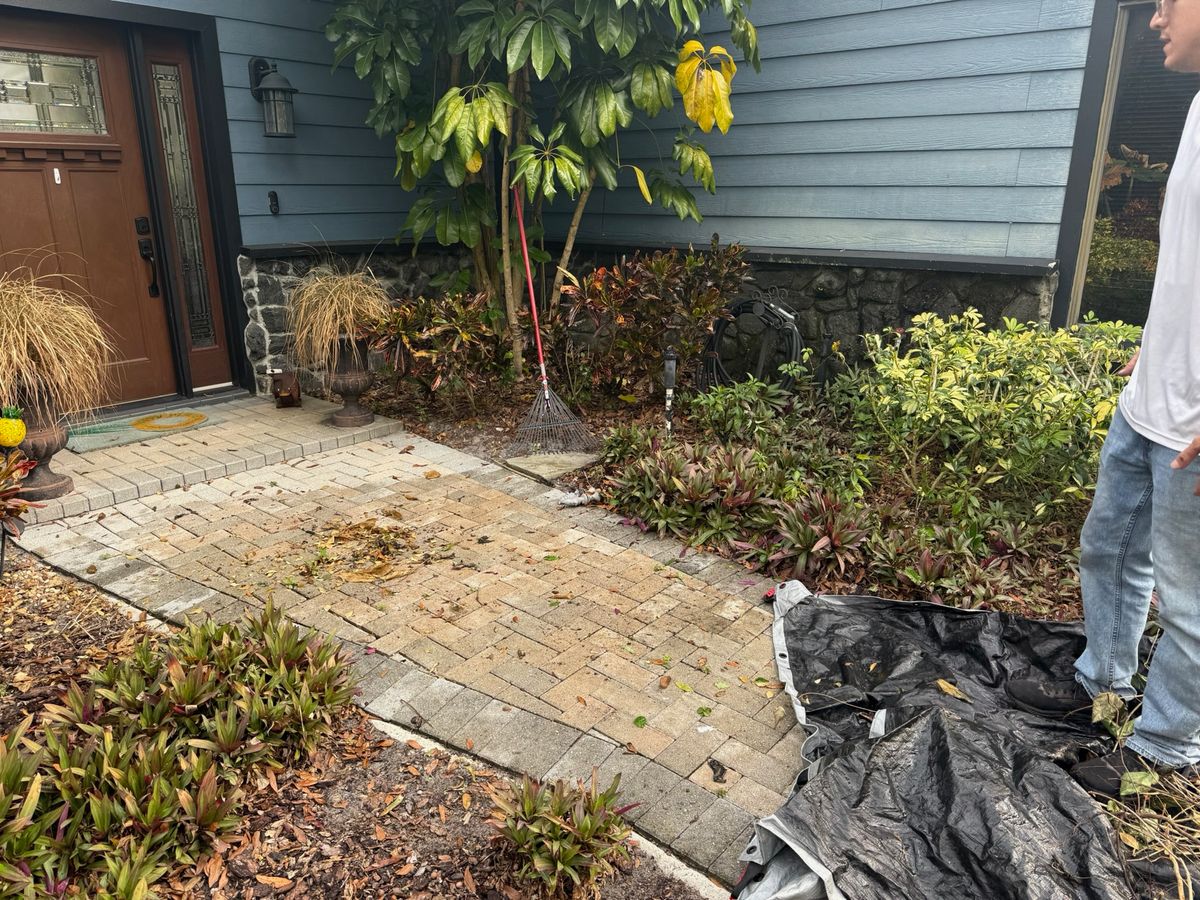 Fall Clean Up for Amerigrown Tree And Lawn in Apopka, FL
