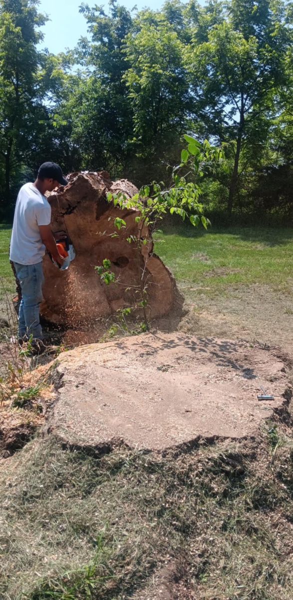 Tree Removal for Lawn Ranger Yard And Tree Service LLC in Ottumwa, IA