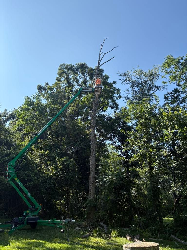 Tree Services for Mountainside Property Services LLC in Warrenton, VA