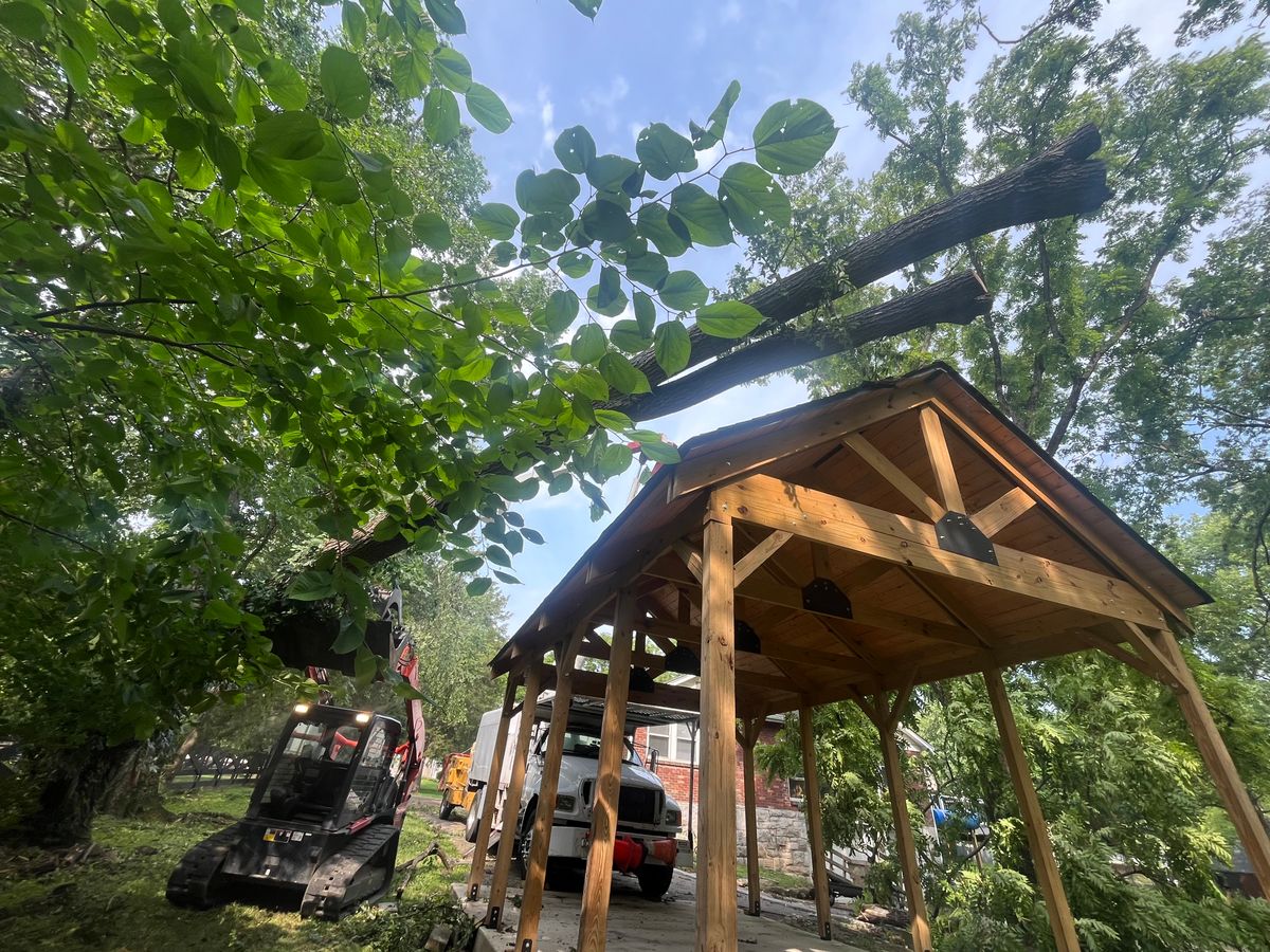 Tree Maintenance for Real Deal Lawn Care in Goodlettsville, TN