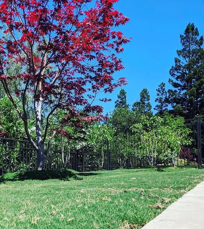 Lawn Mowing for RHS in San Jose, CA