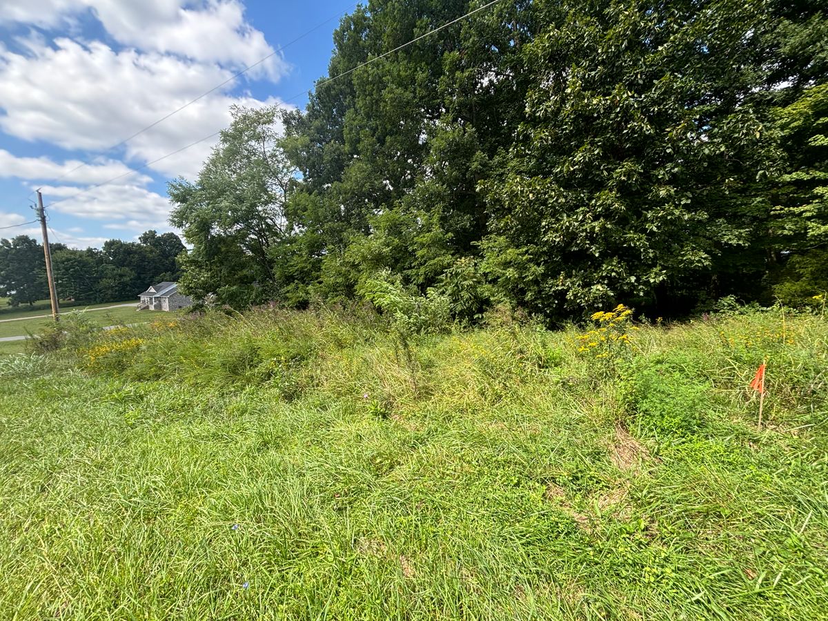 Land Clearing for Gregory Grass and Lawn in Lafayette, TN