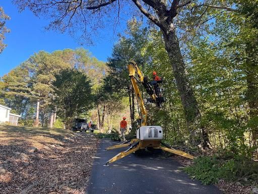 Tree Removal for Ross Family Tree Service LLC  in Hohenwald, TN