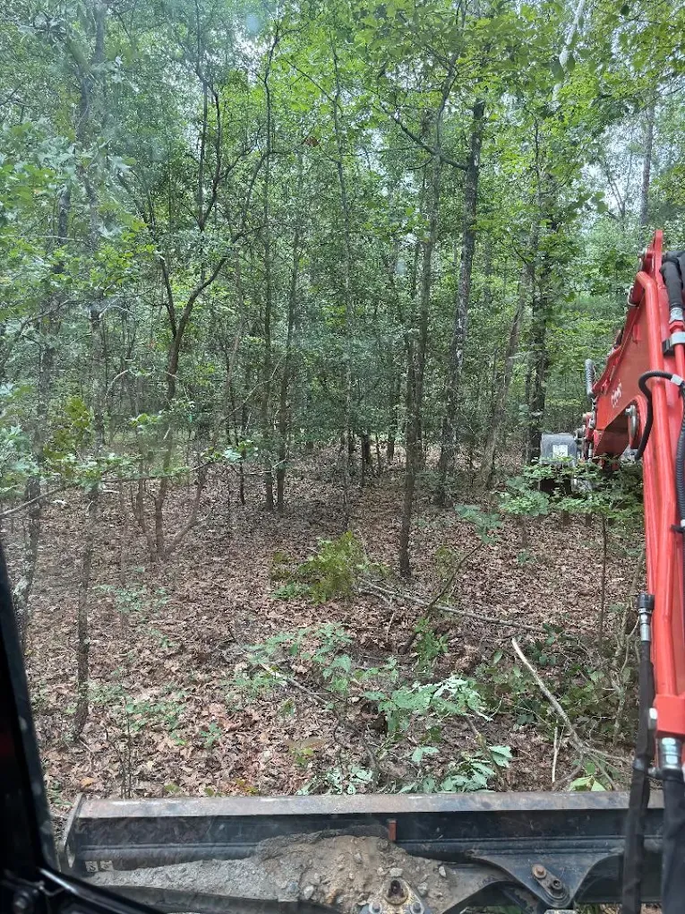 Mulching for Back Forty Construction LLC in Gaston, SC