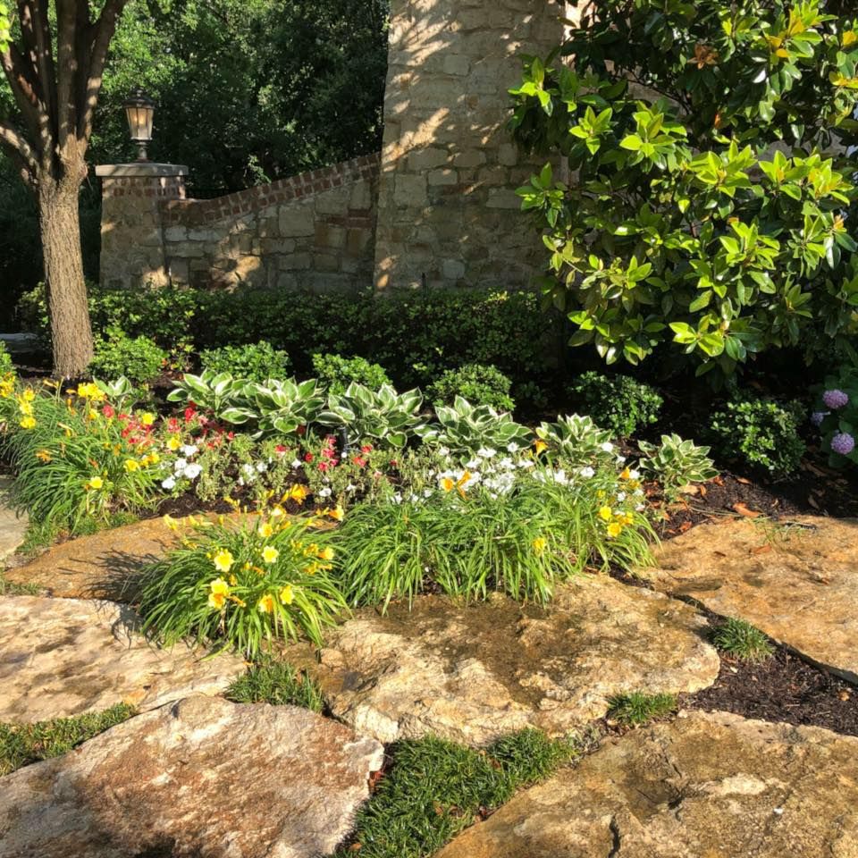 Plant Installation for Danny's Custom Landscaping & Woodchuck Firewood in Garland, TX